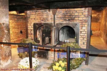 IMG_ (11843)